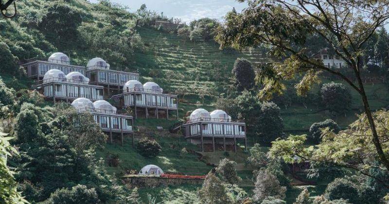 Booking.com/Damar Langit Resort